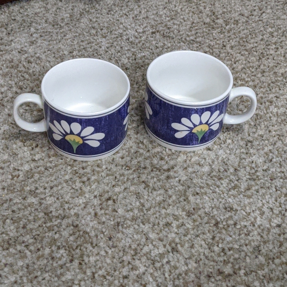 Oneida spring Daisy coffee mugs set of two!
